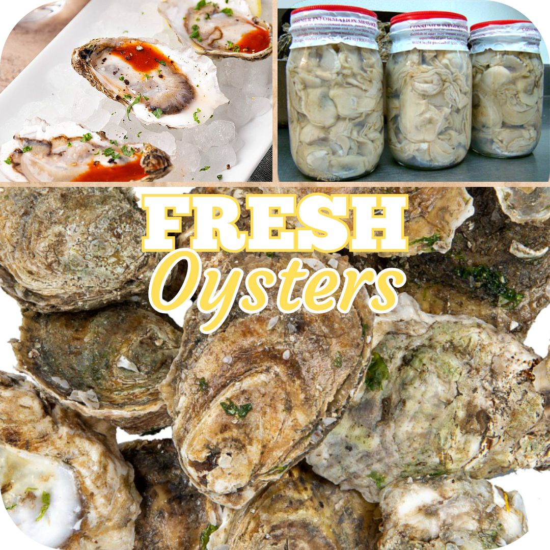 Image Shop Fresh Oysters